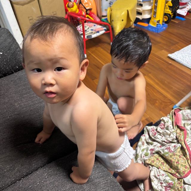 IMG_2990.jpeg